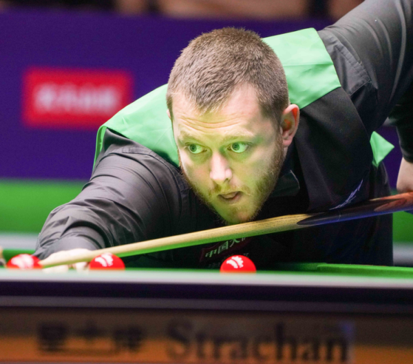 业界反应及 业界反应及