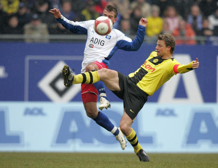 释放的信号 释放的信号